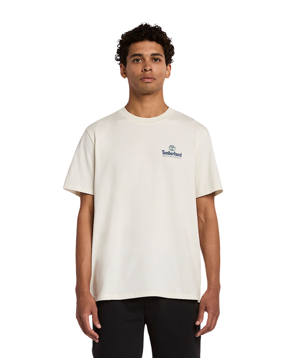 T-SHIRT TIMBERLAND ILLUSTRATED TREE LOGO BEIGE