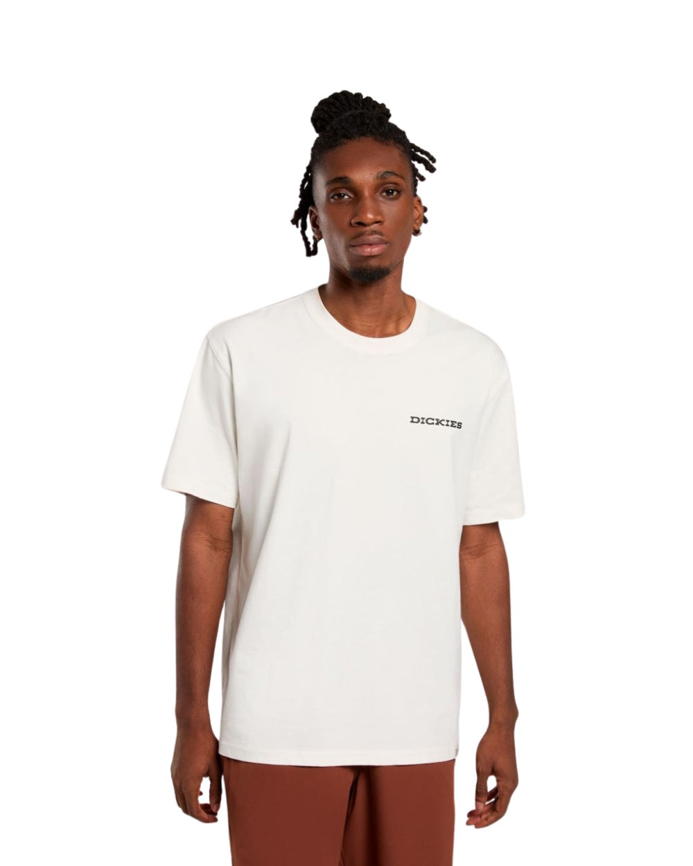 TSHIRT DICKIES LANDSCAPE BEIGE