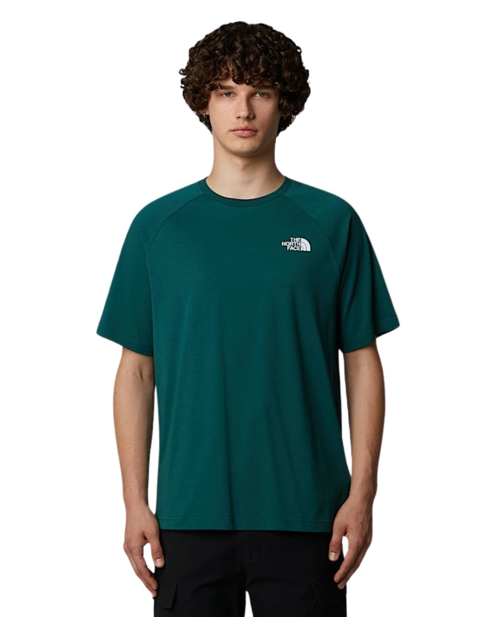 TSHIRT THE NORTH FACE SS NORTH FACES VERT