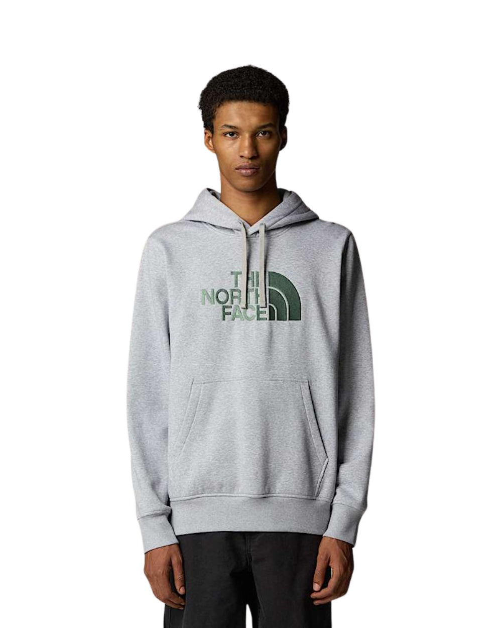 HOODIE THE NORTH FACE DREW PEAK GRIS LOGO VERT