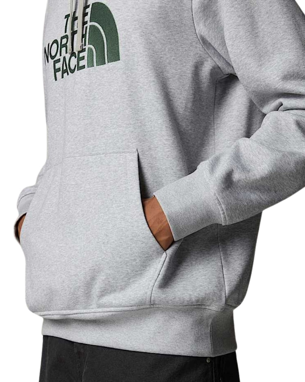 HOODIE THE NORTH FACE DREW PEAK GRIS LOGO VERT