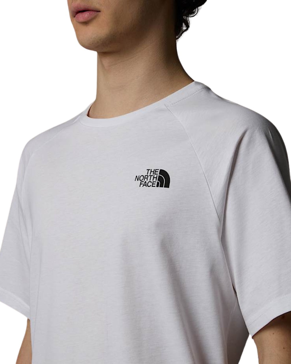 TSHIRT THE NORTH FACE SS NORTH FACES BLANC