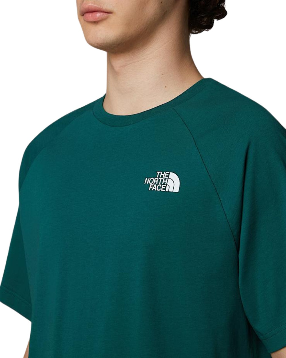 TSHIRT THE NORTH FACE SS NORTH FACES VERT