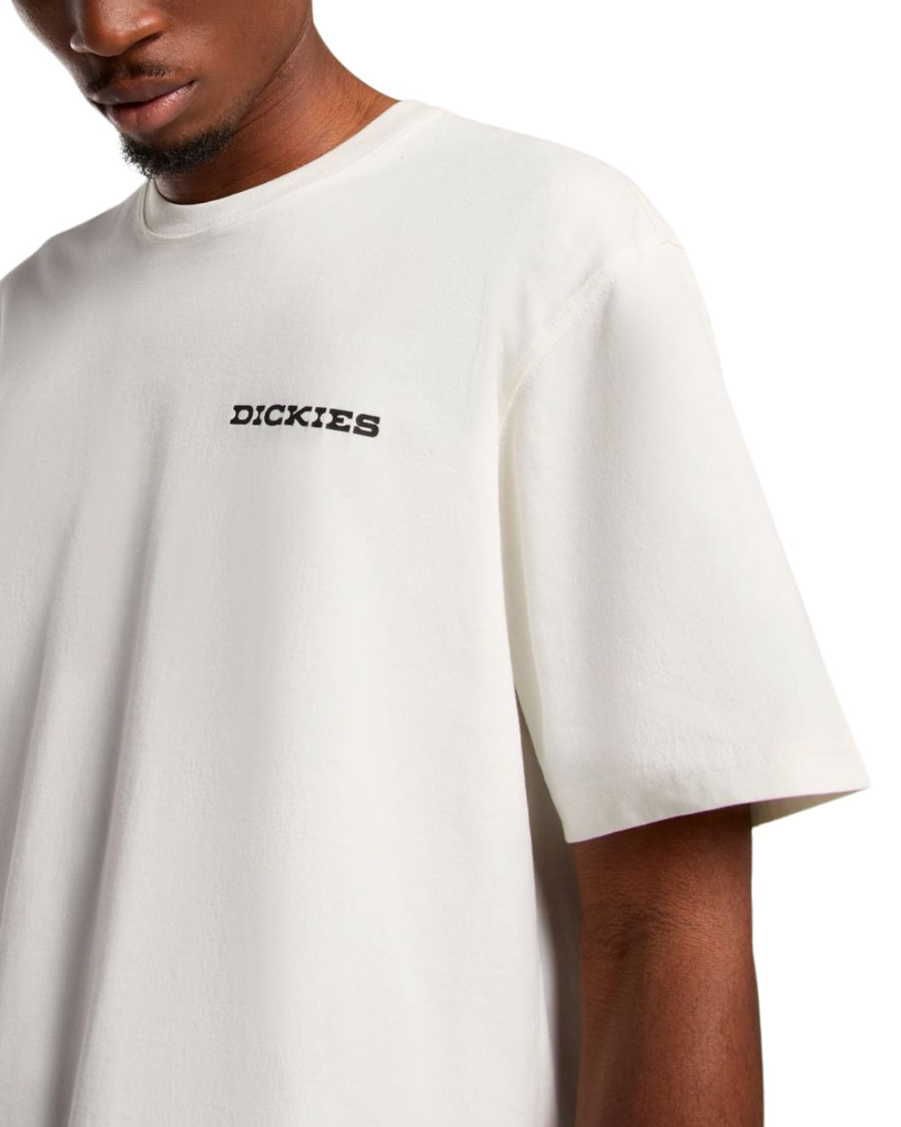 TSHIRT DICKIES LANDSCAPE BEIGE