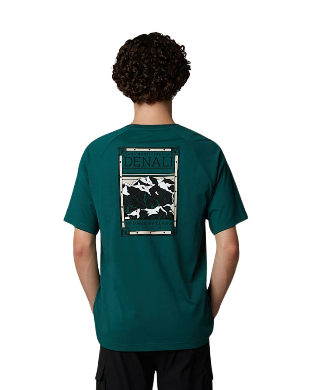 TSHIRT THE NORTH FACE SS NORTH FACES VERT