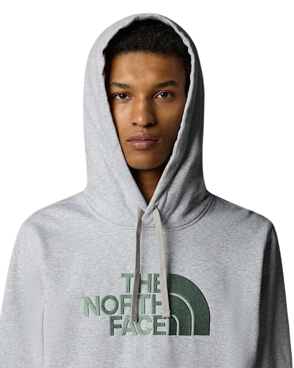HOODIE THE NORTH FACE DREW PEAK GRIS LOGO VERT