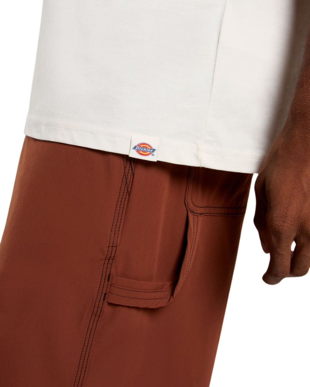 TSHIRT DICKIES LANDSCAPE BEIGE