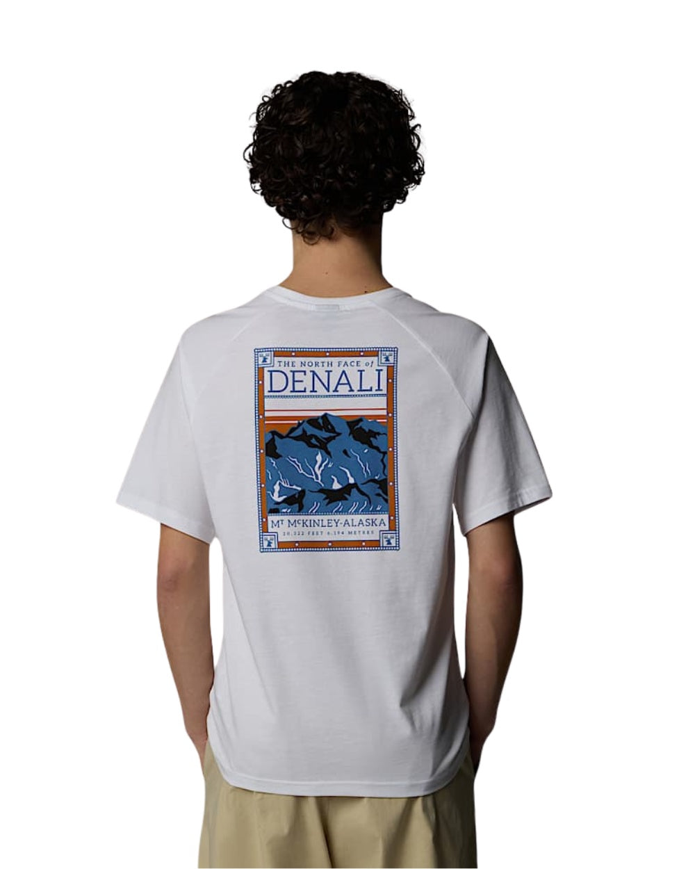 TSHIRT THE NORTH FACE SS NORTH FACES BLANC