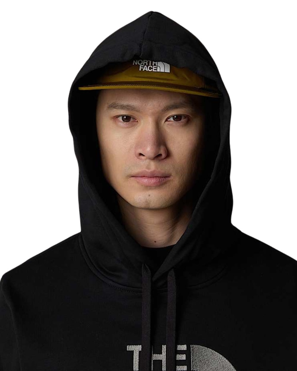 HOODIE THE NORTH FACE DREW PEAK NOIR LOGO GRIS