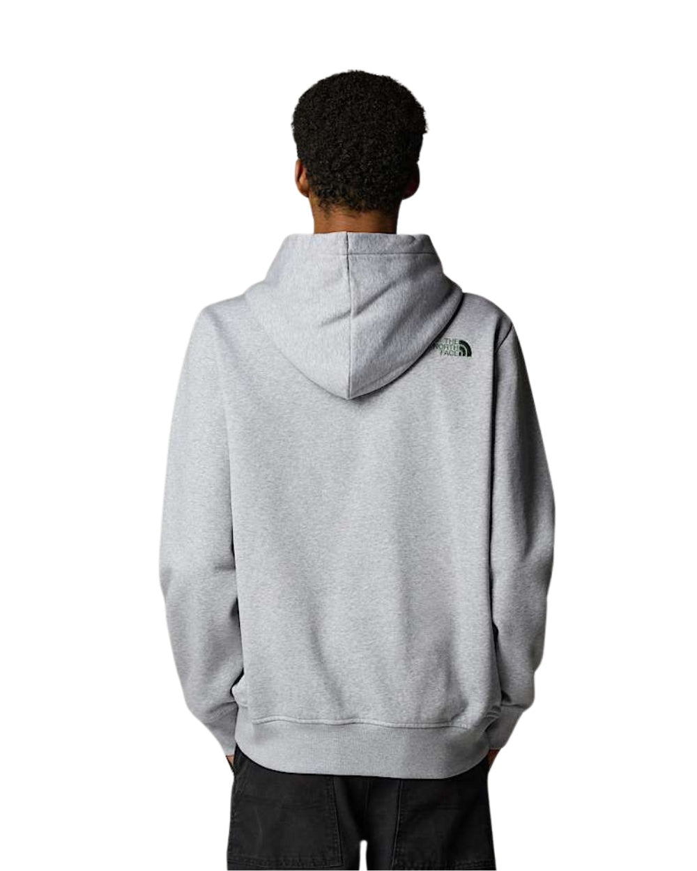 HOODIE THE NORTH FACE DREW PEAK GRIS LOGO VERT