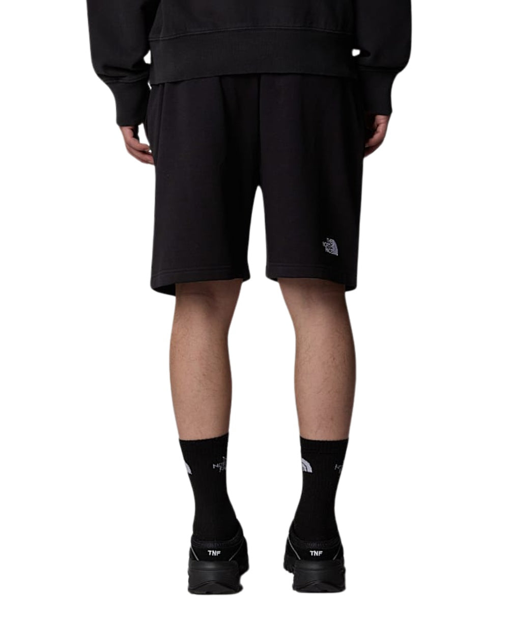 SHORT THE NORTH FACE STAND LIGHT NOIR