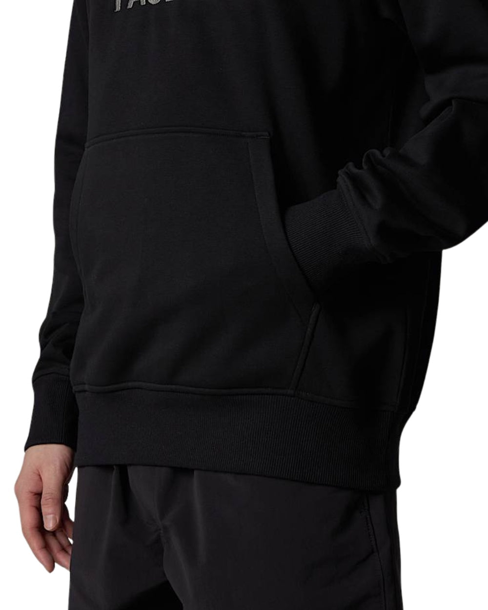 HOODIE THE NORTH FACE DREW PEAK NOIR LOGO GRIS