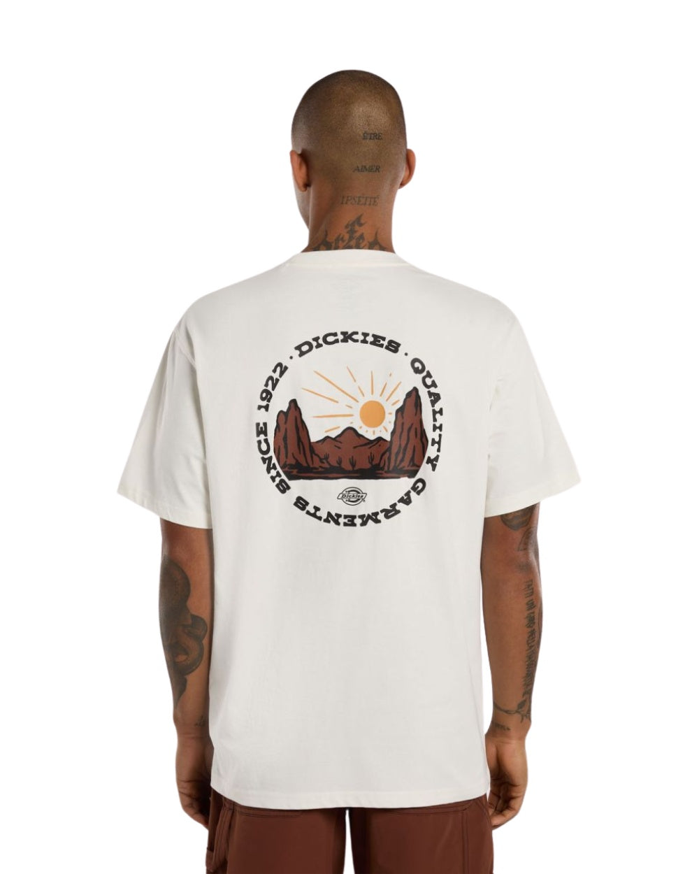 TSHIRT DICKIES OUTDOOR BEIGE