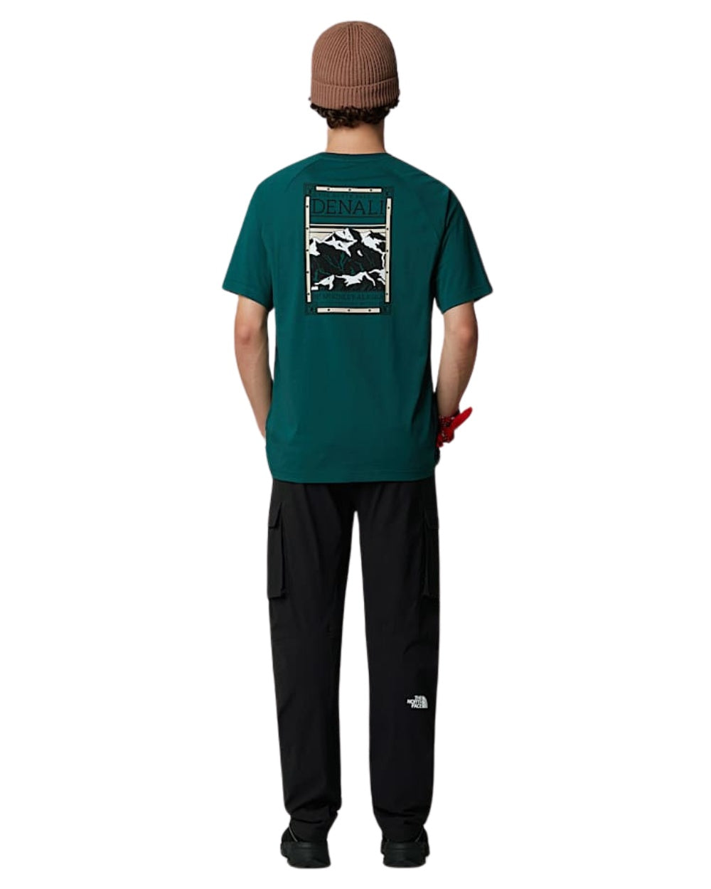 TSHIRT THE NORTH FACE SS NORTH FACES VERT