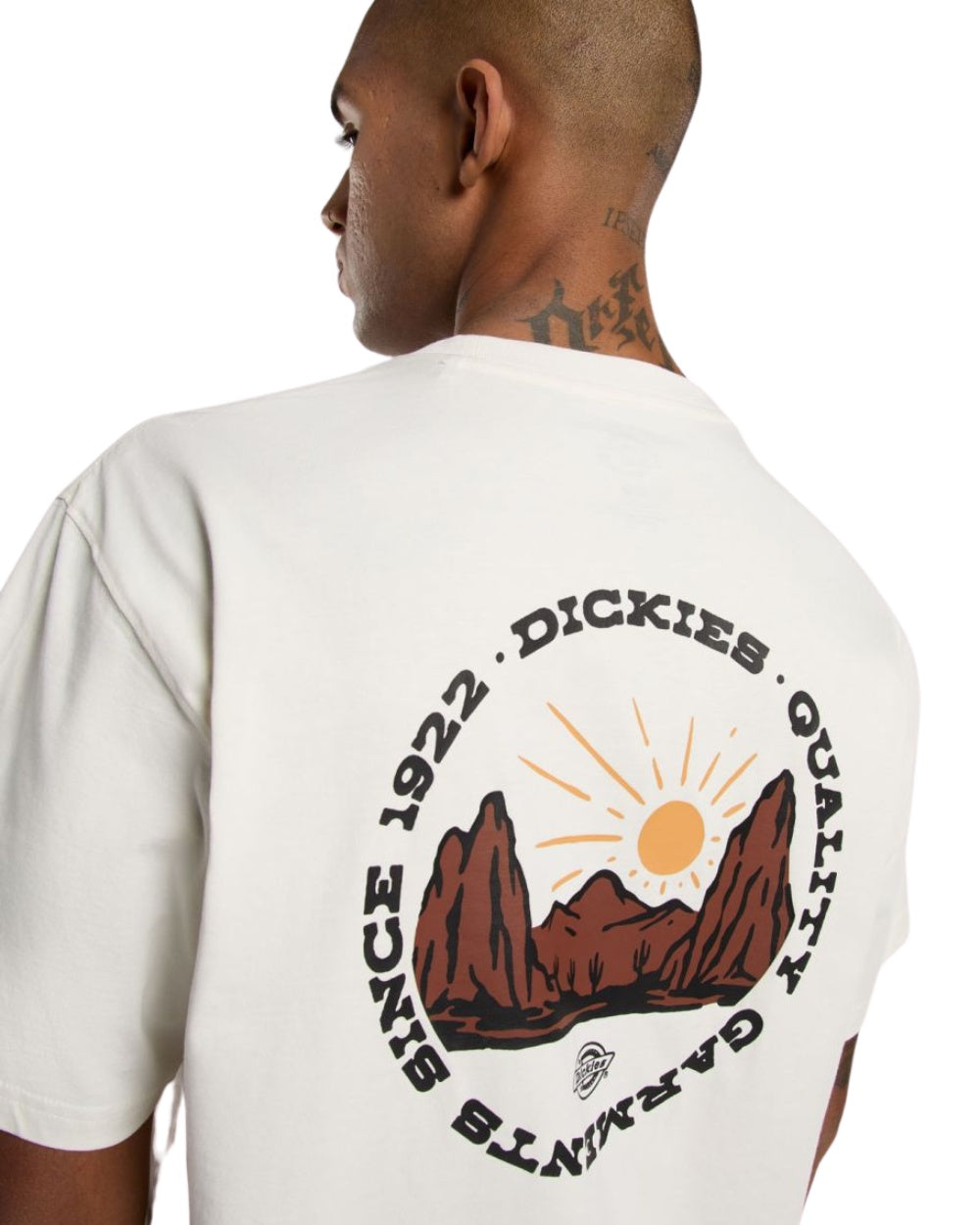 TSHIRT DICKIES OUTDOOR BEIGE