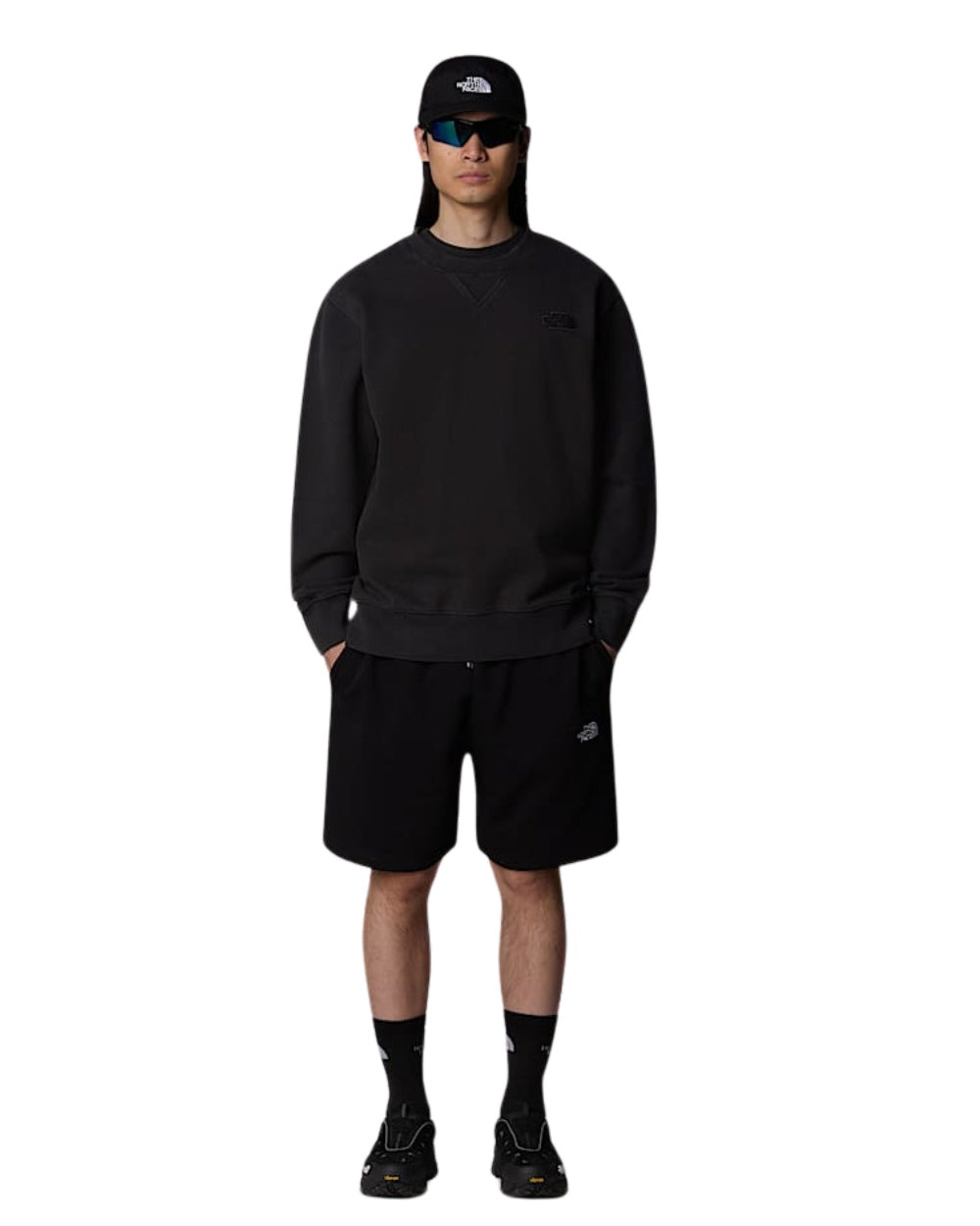 SHORT THE NORTH FACE STAND LIGHT NOIR