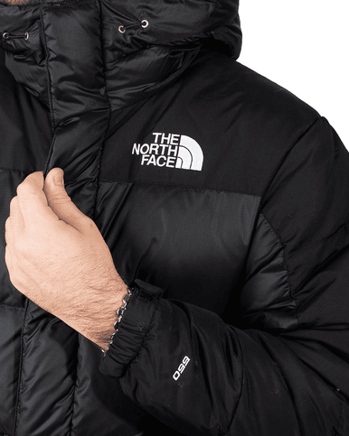 Doudoune avec Capuche Noir The North Face - Cashville