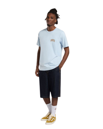 SHORT DICKIES MADISON BLEU BRUTE