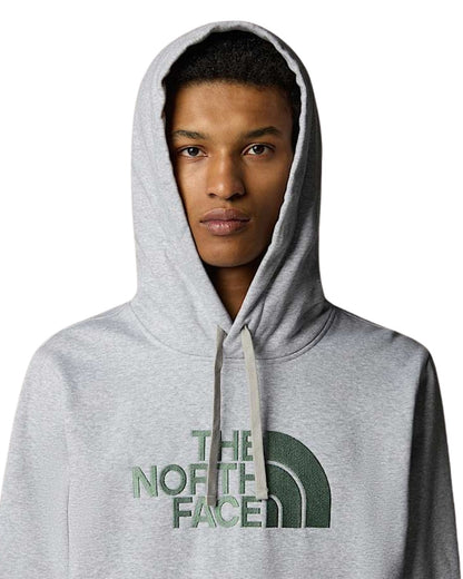 HOODIE THE NORTH FACE DREW PEAK GRIS LOGO VERT