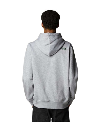 HOODIE THE NORTH FACE DREW PEAK GRIS LOGO VERT