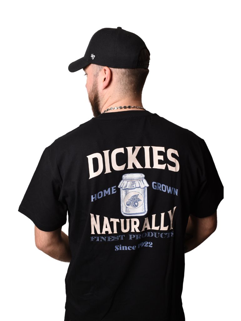 T-SHIRT DICKIES ELLISTON NOIR