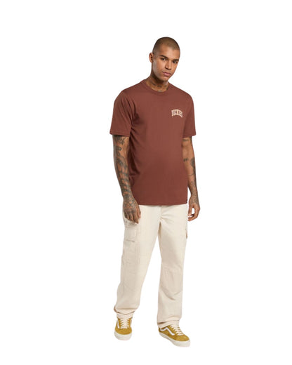 CARGO DICKIES MILLERVILLE BLANC CASSE