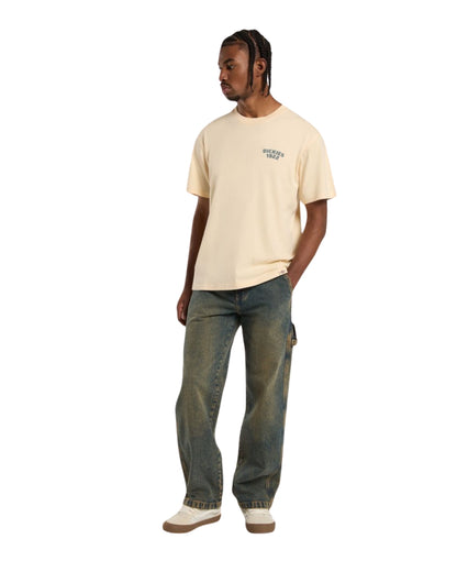 BAGGY DICKIES STEVENSVILLE YELLOW FAD