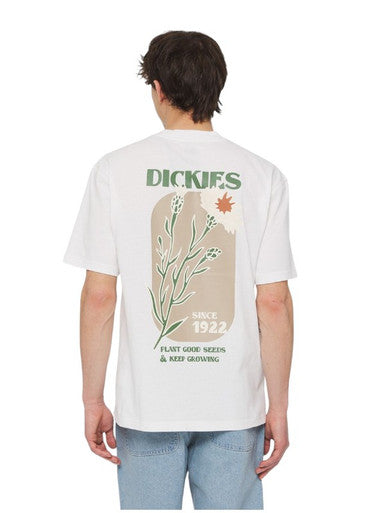 T-Shirt DICKIES Manches Courtes Herndon BLANC