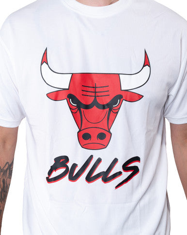 Tee Shirt Chicago Bulls Script Mesh New Era