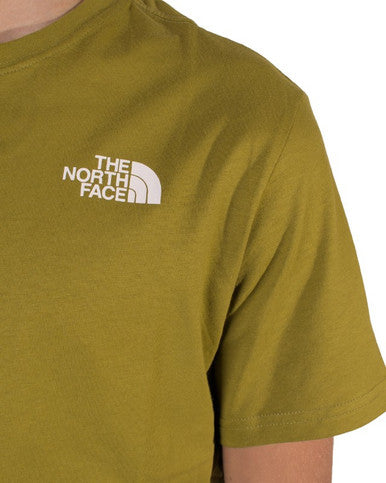 TSHIRT THE NORTH FACE RED BOX VERT - Cashville