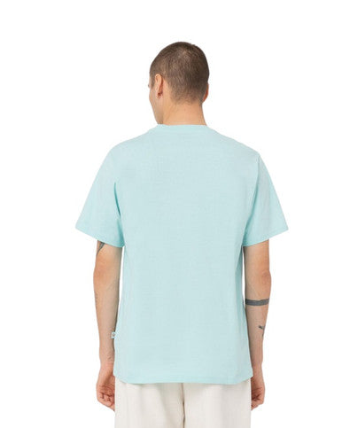 TSHIRT DICKIES MAPLETON BLEU CLAIR - Cashville