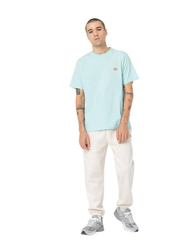 TSHIRT DICKIES MAPLETON BLEU CLAIR - Cashville